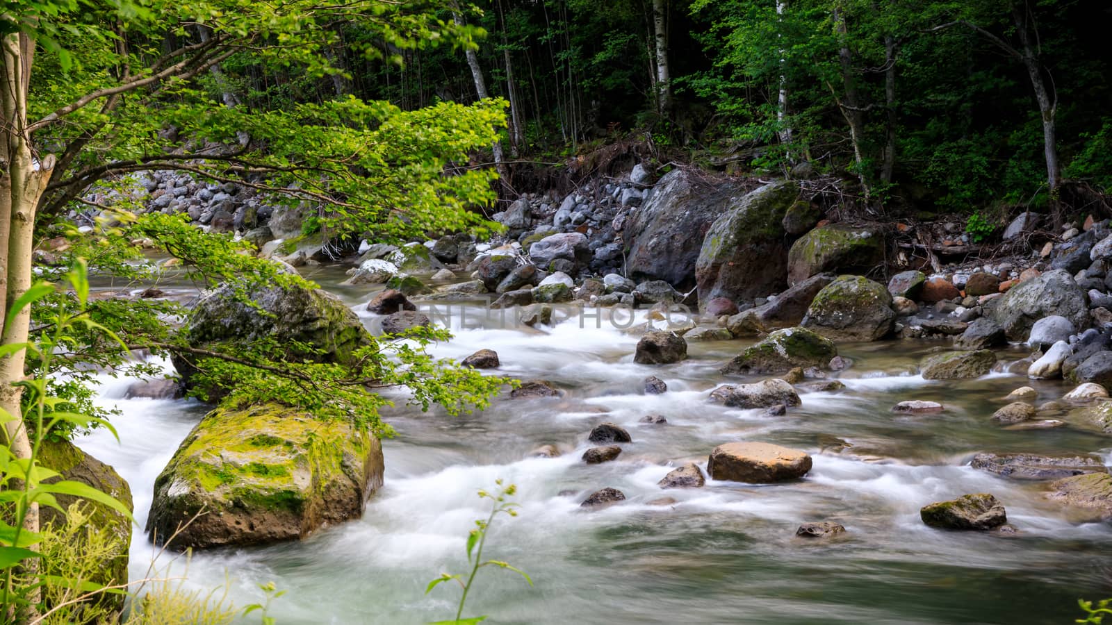 Creek flowing over rock in rainforest with slow shutter speed.