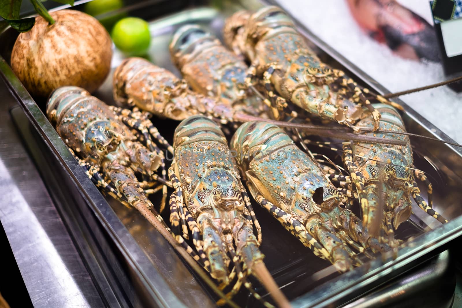 Raw fresh uncooked lobsters in a supermarket.