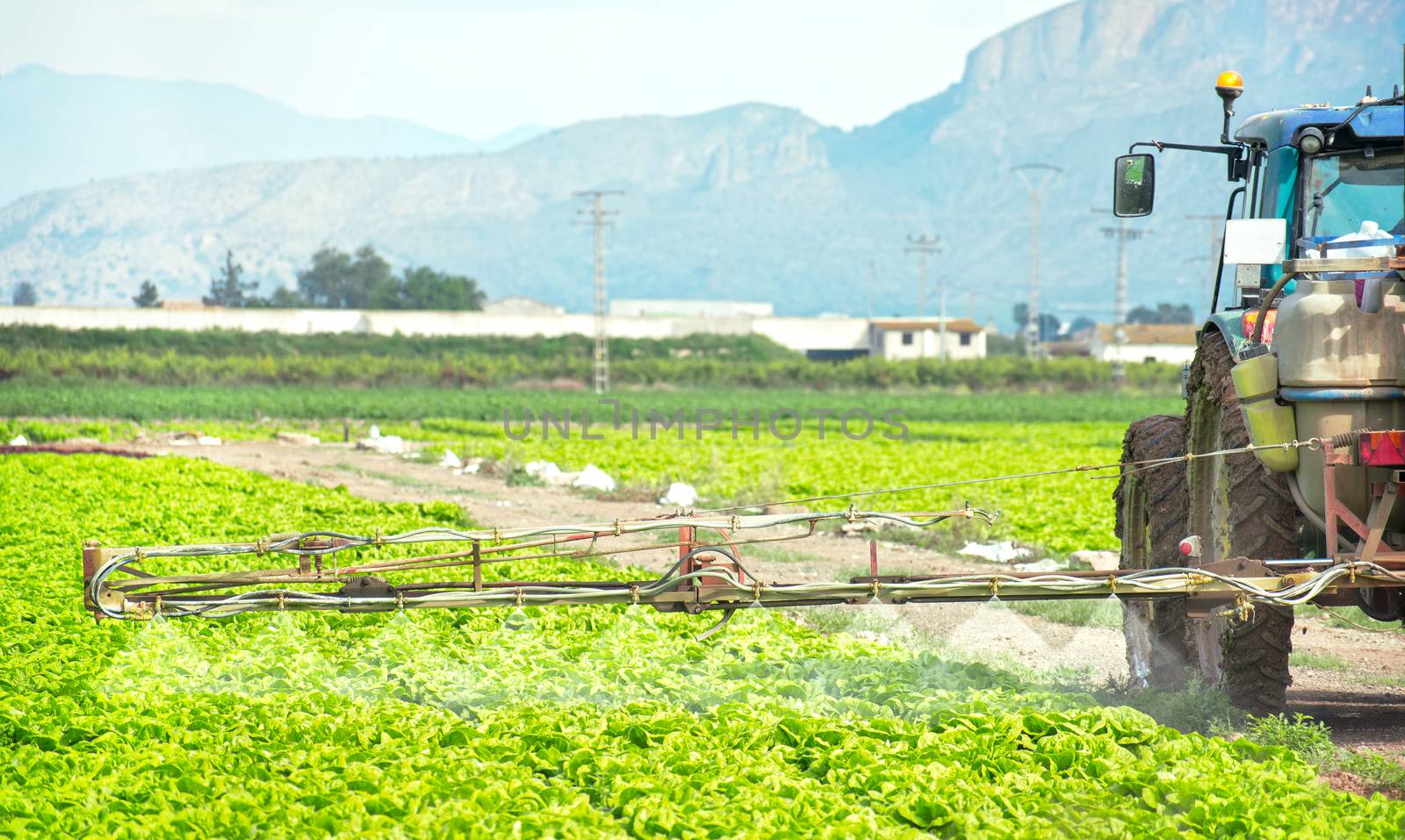 Fumigation of tractor in lettuce field. Spraying insecticide, insecticides, pesticides in agricultural countryside. Pesticides and insecticides on agricultural field in Spain. Weed insecticide fumigation. Organical.