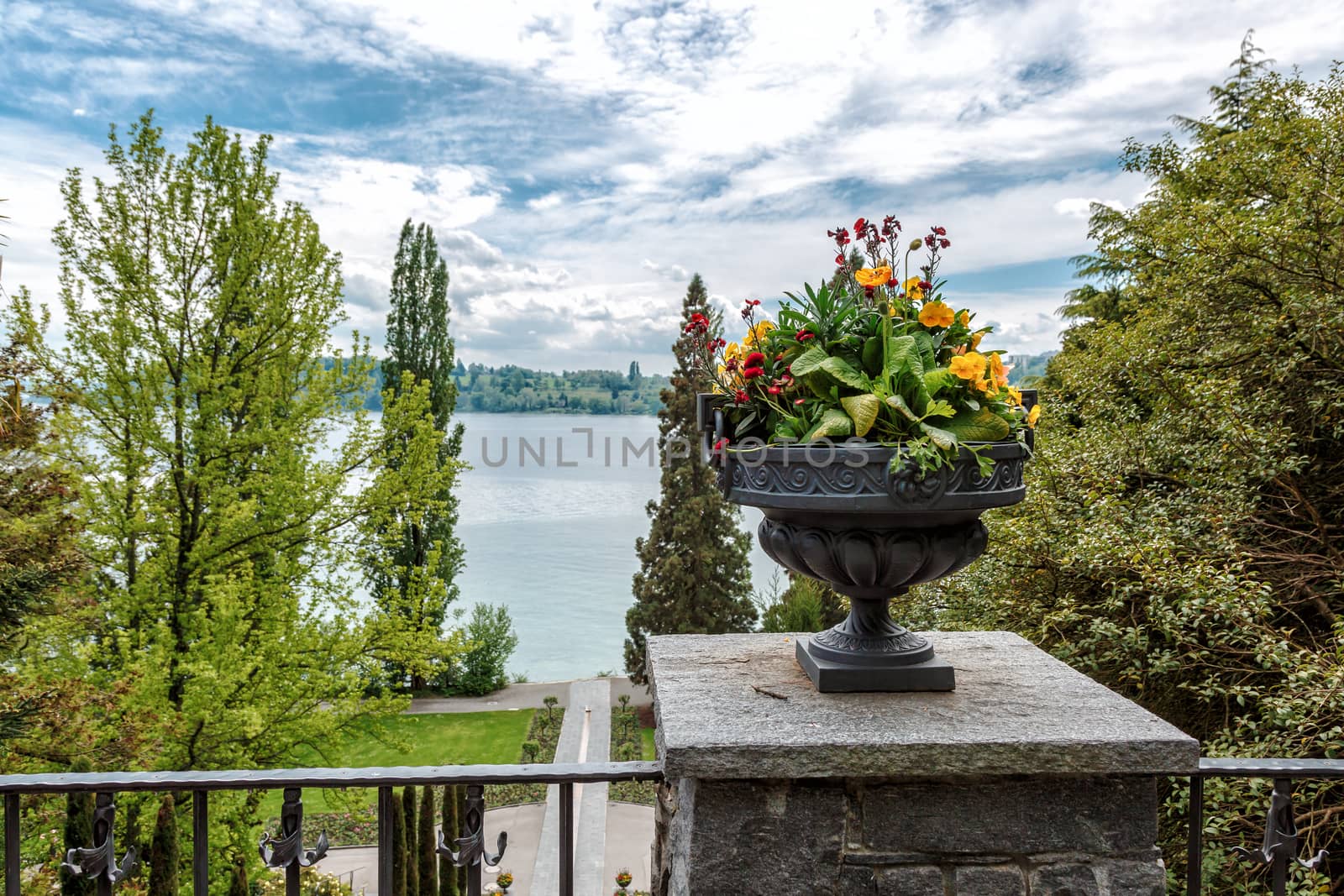 Vase with flowers overlooking Lake Bodensee on Mainau Island. Background blur. by seka33