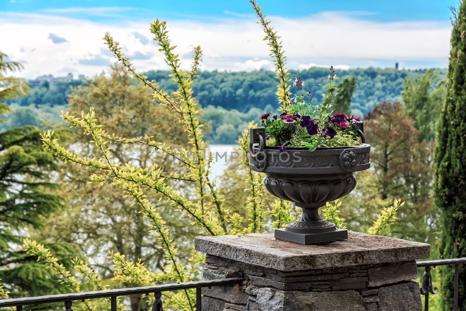 Vase with flowers overlooking Lake Bodensee on Mainau Island. Background blur.