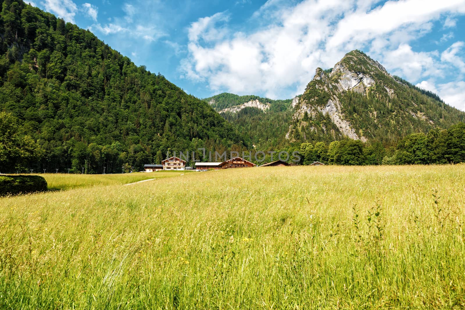 Summer Landscape near Königssee Lake with mountains in the background, Bavaria by seka33