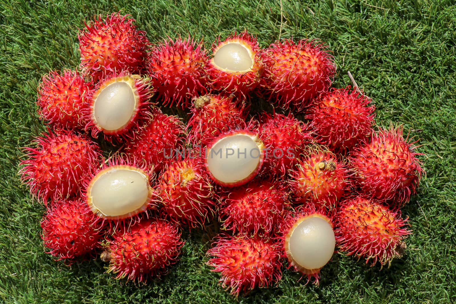 Close up of a Rambutan peeled. Top view healthy fruits on green lawn. Ready to eat sweet Bali fruit. Fruit is rounded oval single-seeded berry covered with fleshy pliable spinesSelected focus.