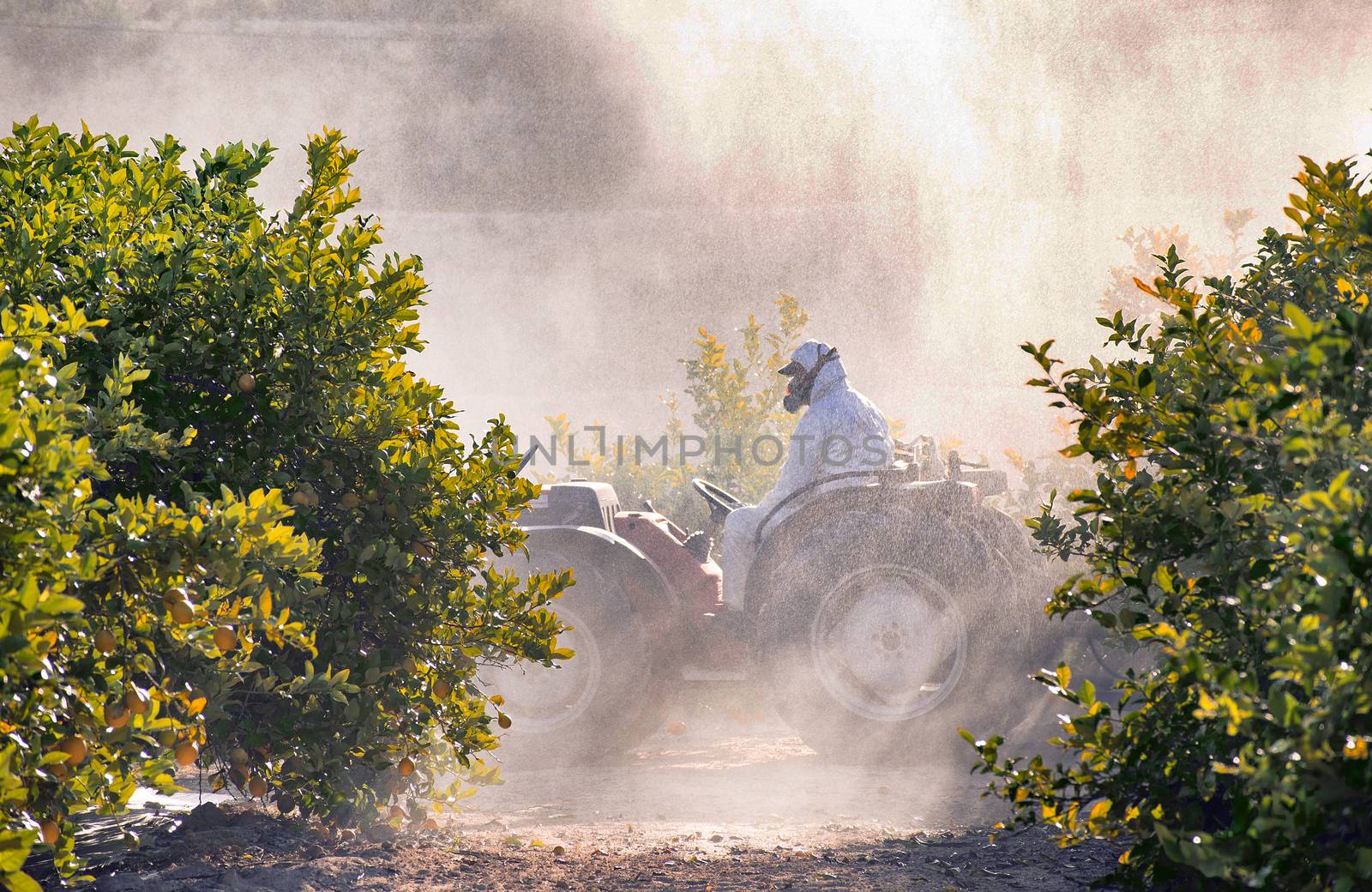 Tractor spraying pesticide and insecticide on lemon plantation in Spain. Weed insecticide fumigation. Organic ecological agriculture. A sprayer machine, trailed by tractor spray herbicide