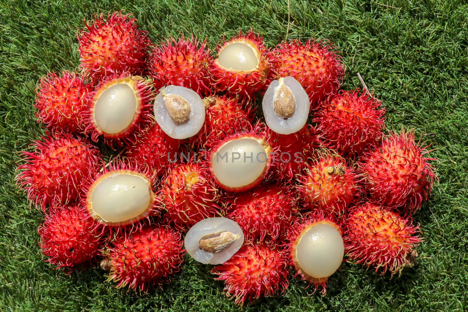 Close up of a Rambutan peeled. Top view healthy fruits on green lawn. Ready to eat sweet Bali fruit. Fruit is rounded oval single-seeded berry covered with fleshy pliable spinesSelected focus.