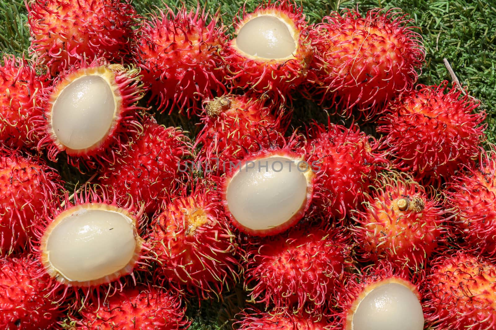 Full frame shoot of bunch of red rambutan fruits. Close up Rambutan peeled. Top view healthy fruits rambutans. The sweet fruit is a round to oval single-seeded berry covered with fleshy pliable spines