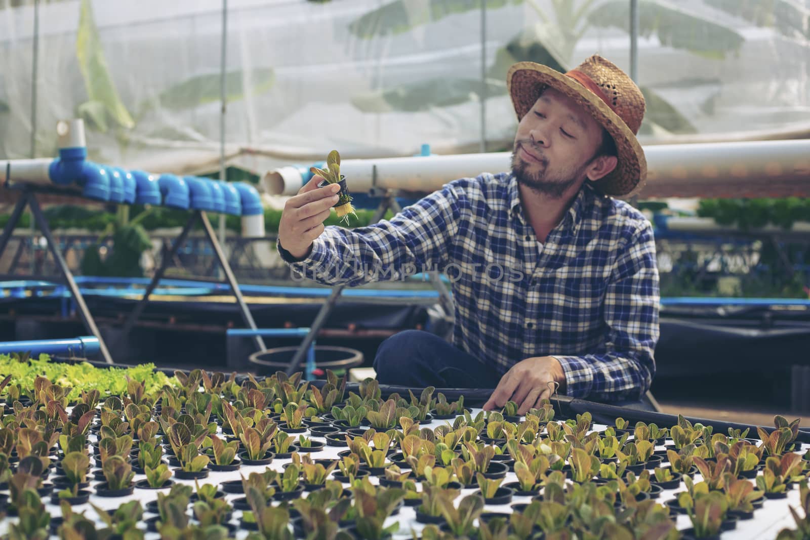 New-age farmers happily smile on his vegetable farm, farmers, agriculture.