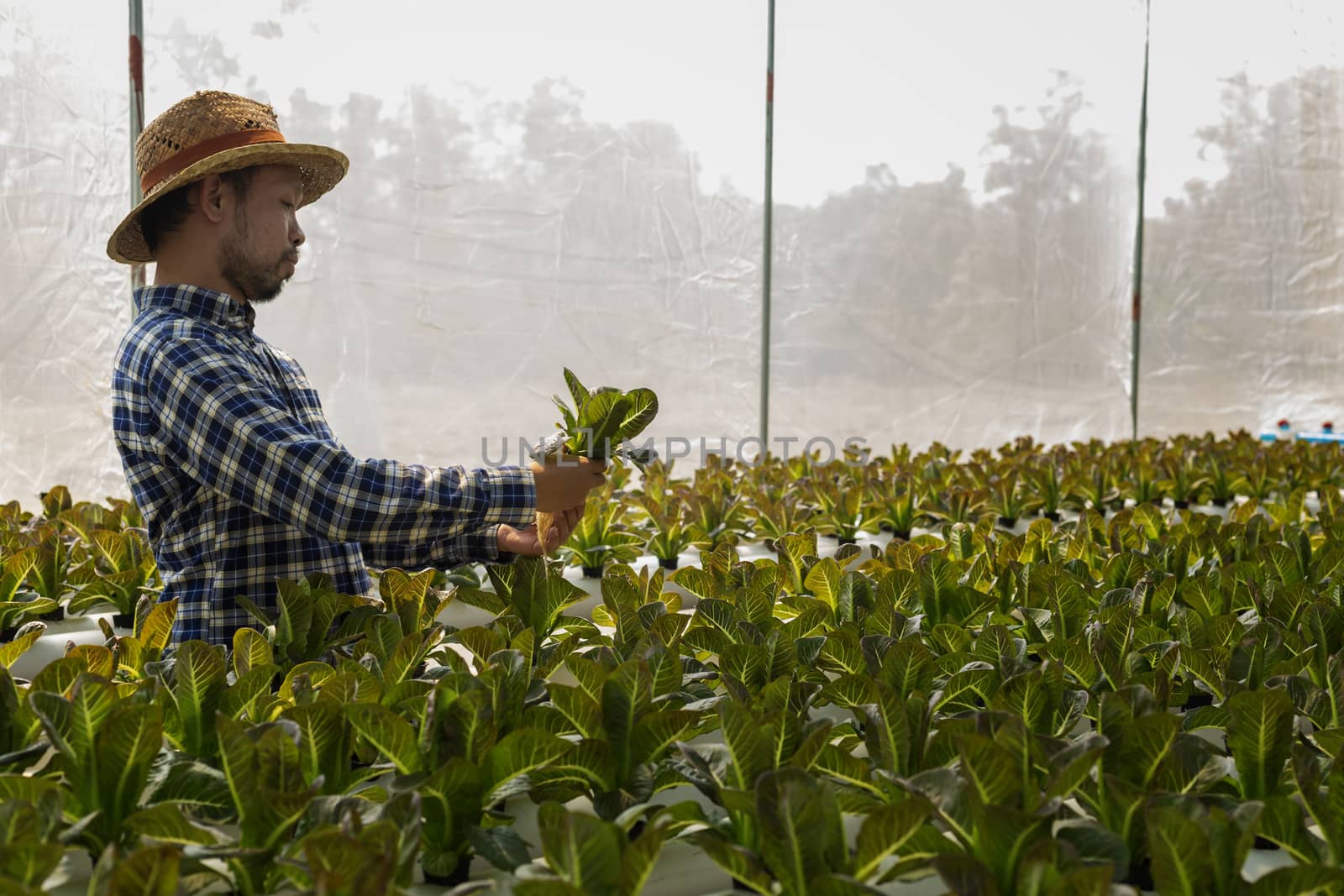 New-age farmers happily smile on his vegetable farm, farmers, ag by numberone9018