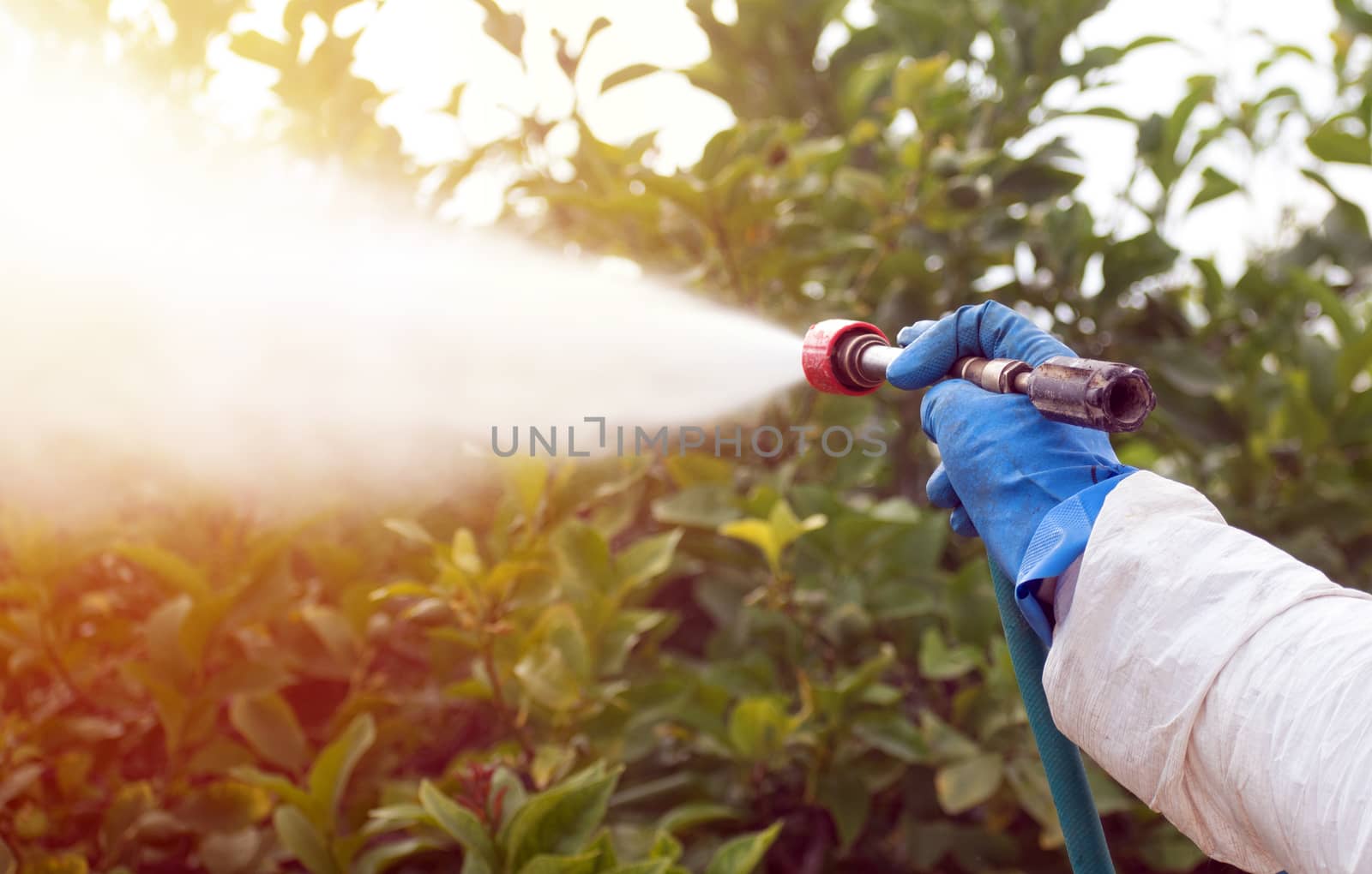 Spray ecological pesticide. Farmer fumigate in protective suit and mask lemon trees. Man spraying toxic pesticides, pesticide, insecticides. by worledit
