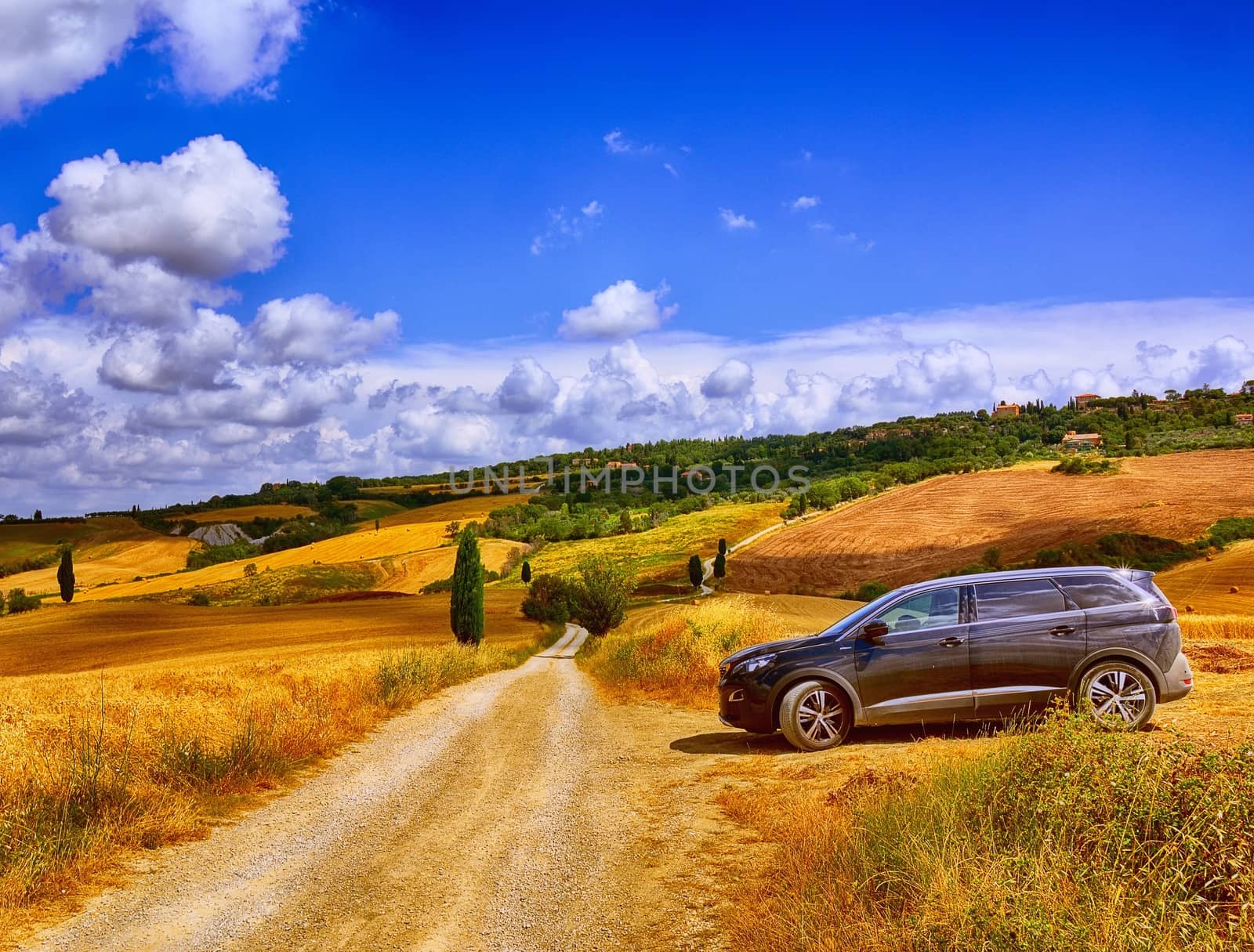 Typical tuscan countryside with cypress and meadow