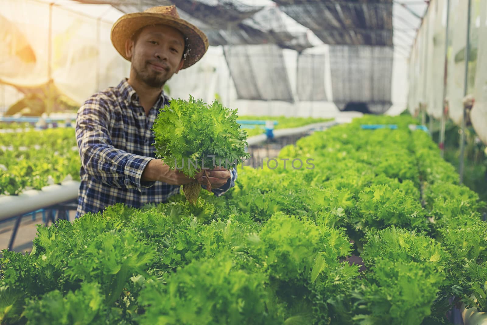 New-age farmers happily smile on his vegetable farm, farmers, agriculture.