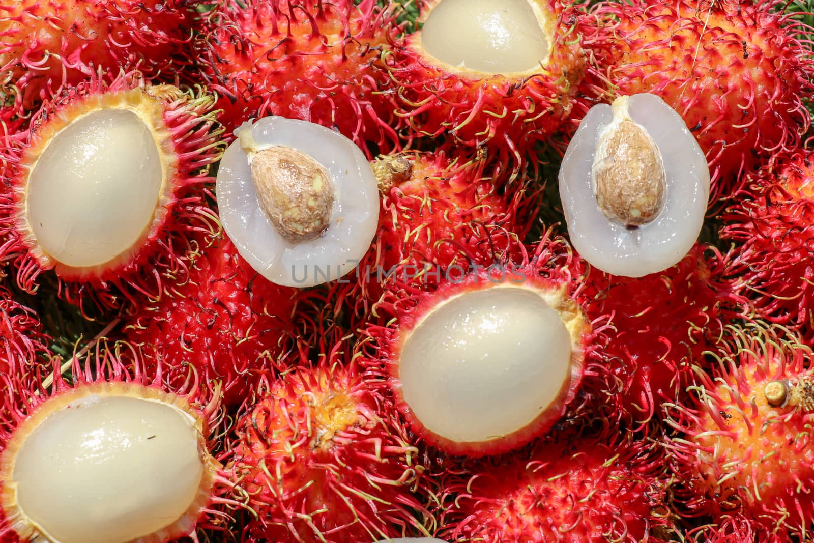 Full frame shoot of bunch of red rambutan fruits. Close up Rambutan peeled. Top view healthy fruits rambutans. The sweet fruit is a round to oval single-seeded berry covered with fleshy pliable spines