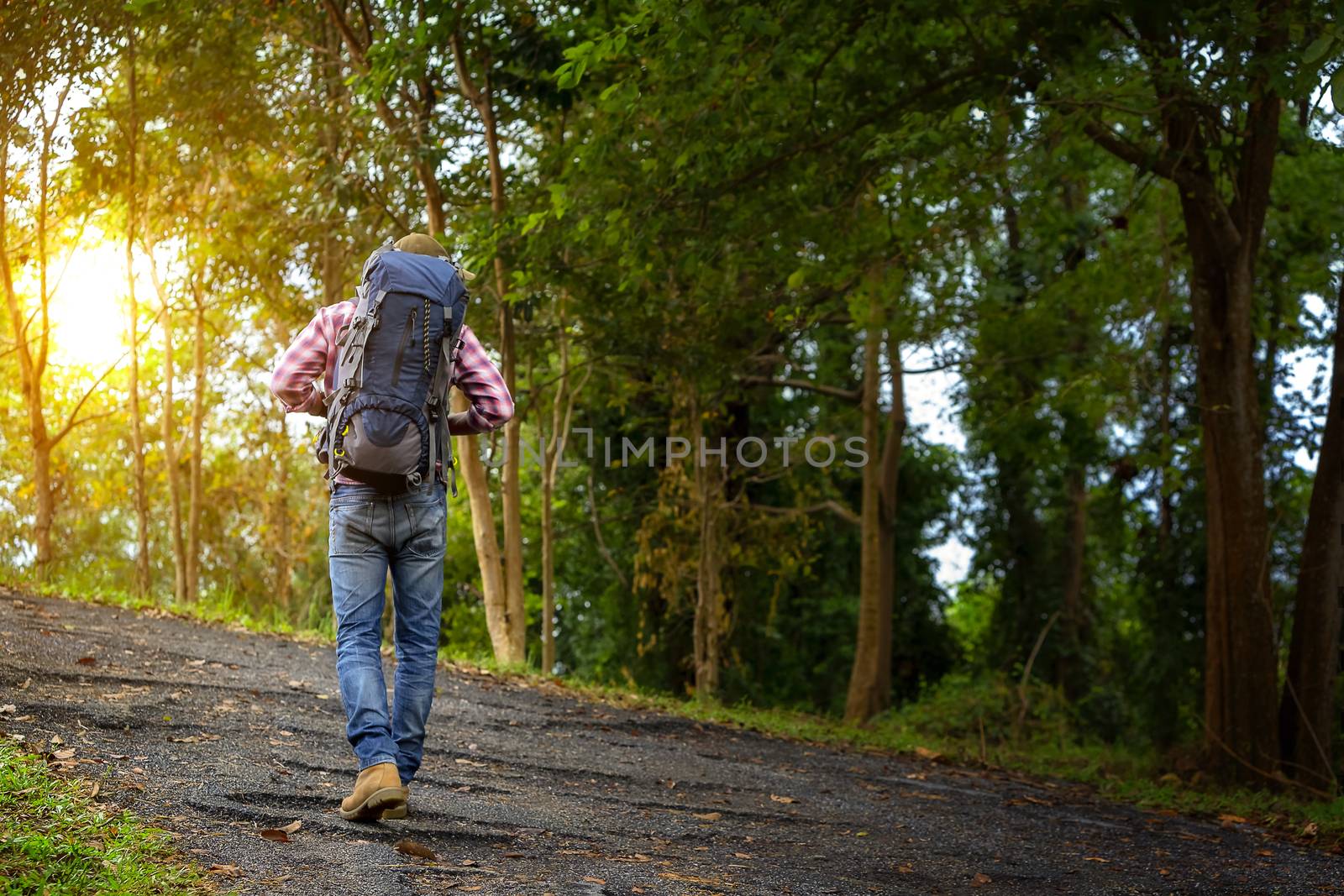 The handsome man is touring in the woods during the holidays. Hiker walking in the forest. Autumn, nature, people concept