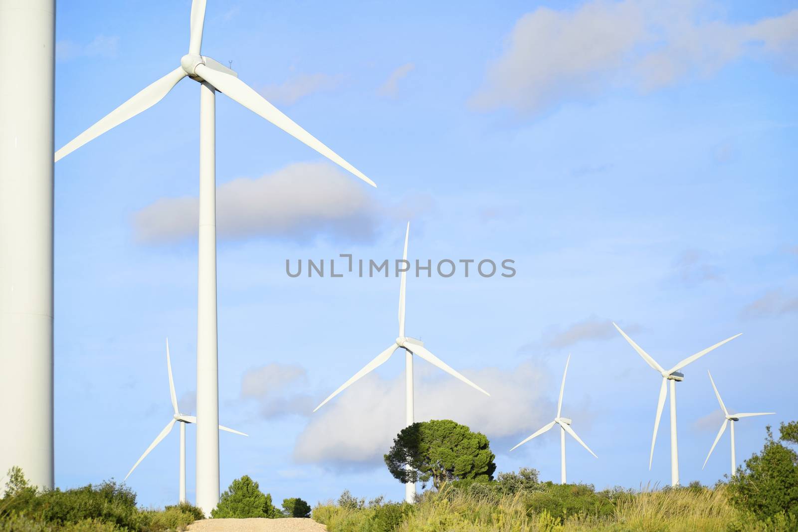 Windmills rotating in Spanish wind farm against cloudy sky. Copy space for text by worledit