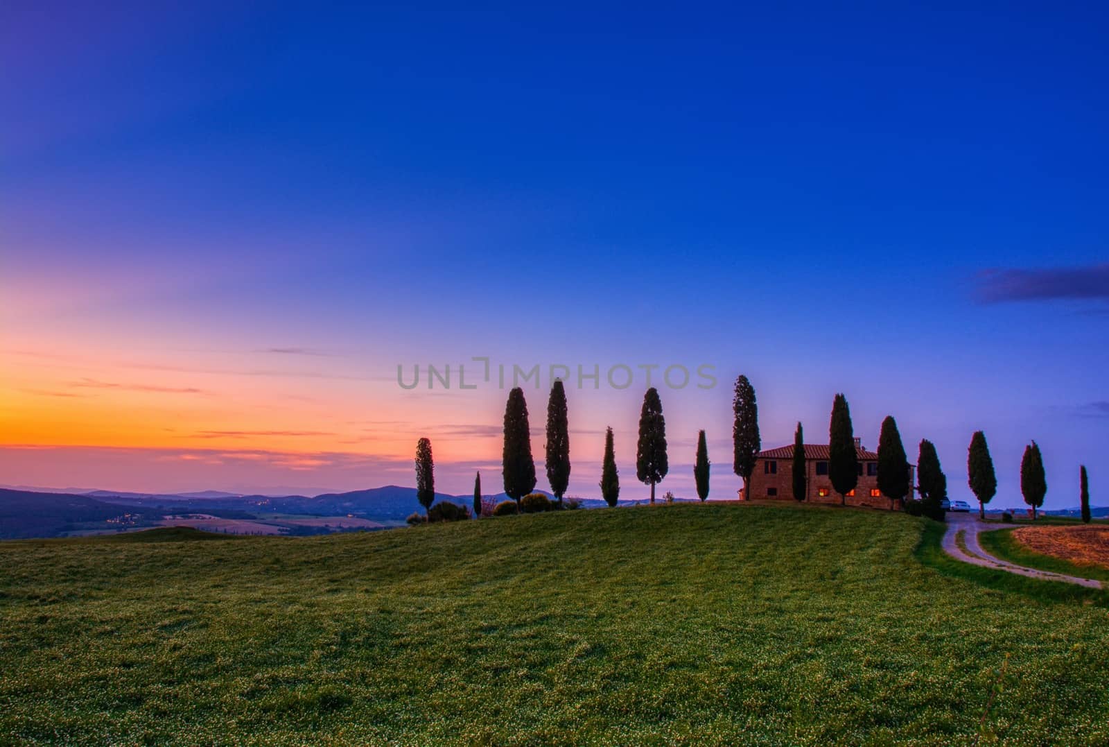 Cypress trees and meadow with typical tuscan house. by CreativePhotoSpain