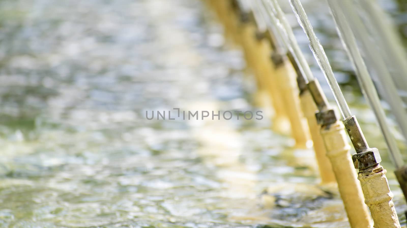 many jets of water of a large fountain in the backlight, multi-colored bokeh, the concept of water and summer, close-up shooting by worledit