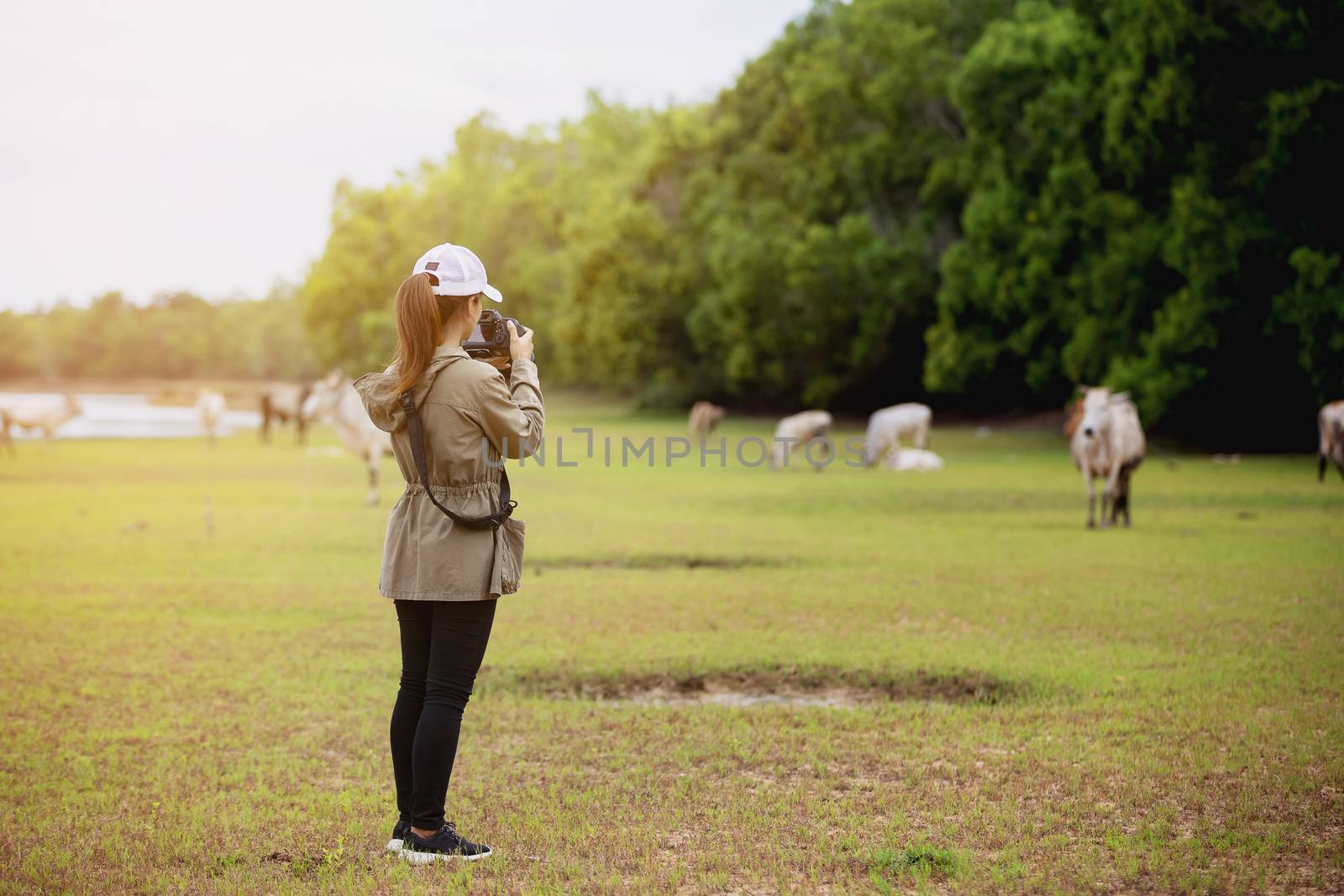 Visitors standing at the beautiful nature. Travel relax by numberone9018