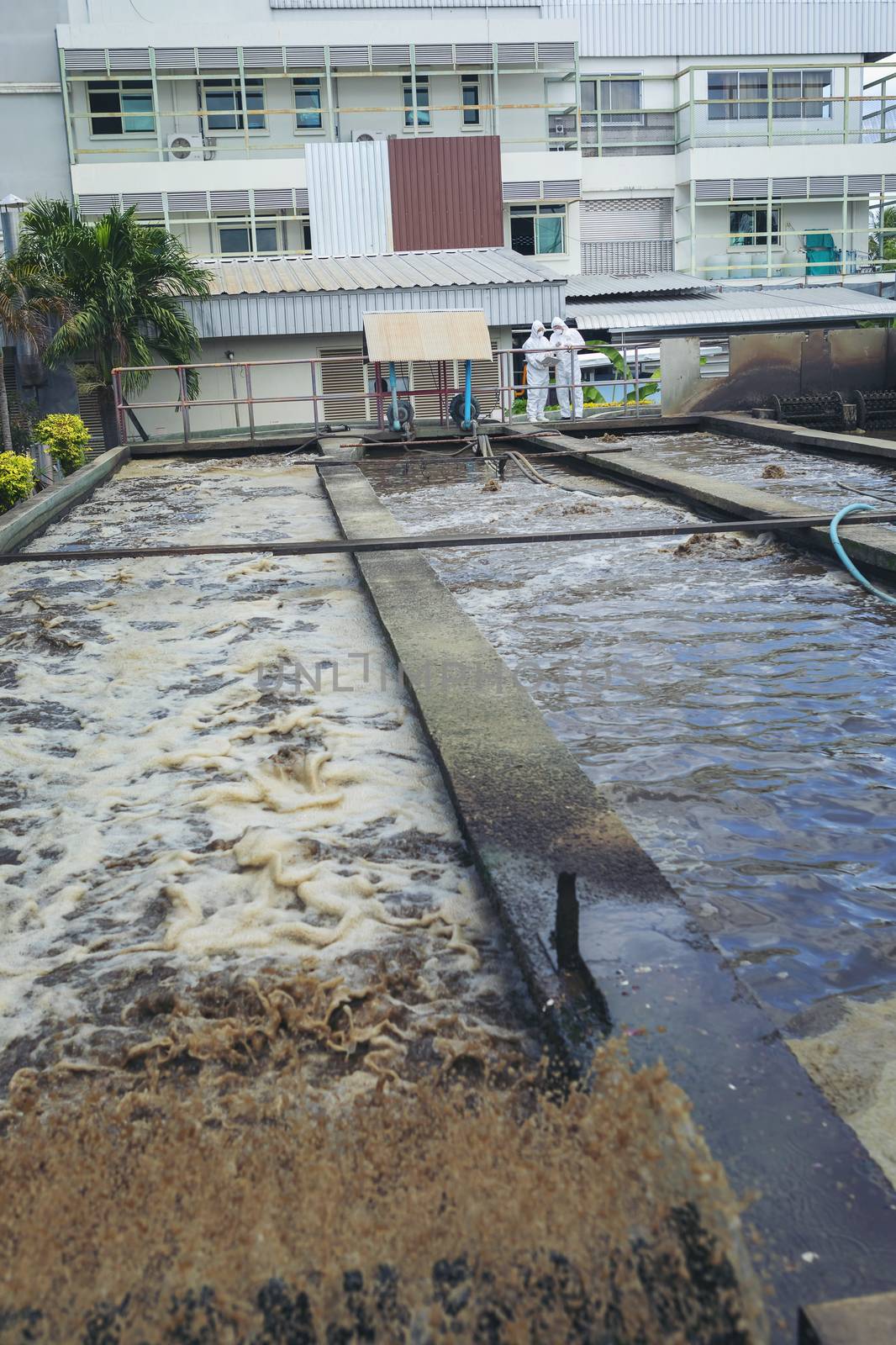 Scientists are examining the quality of waste water treatment systems to control chemicals before releasing water to the environment.