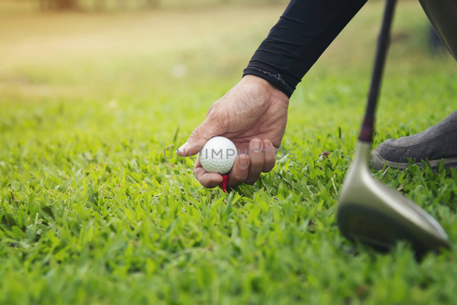 Preparing for strike. Close-up of golfer setting a ball to strik by numberone9018