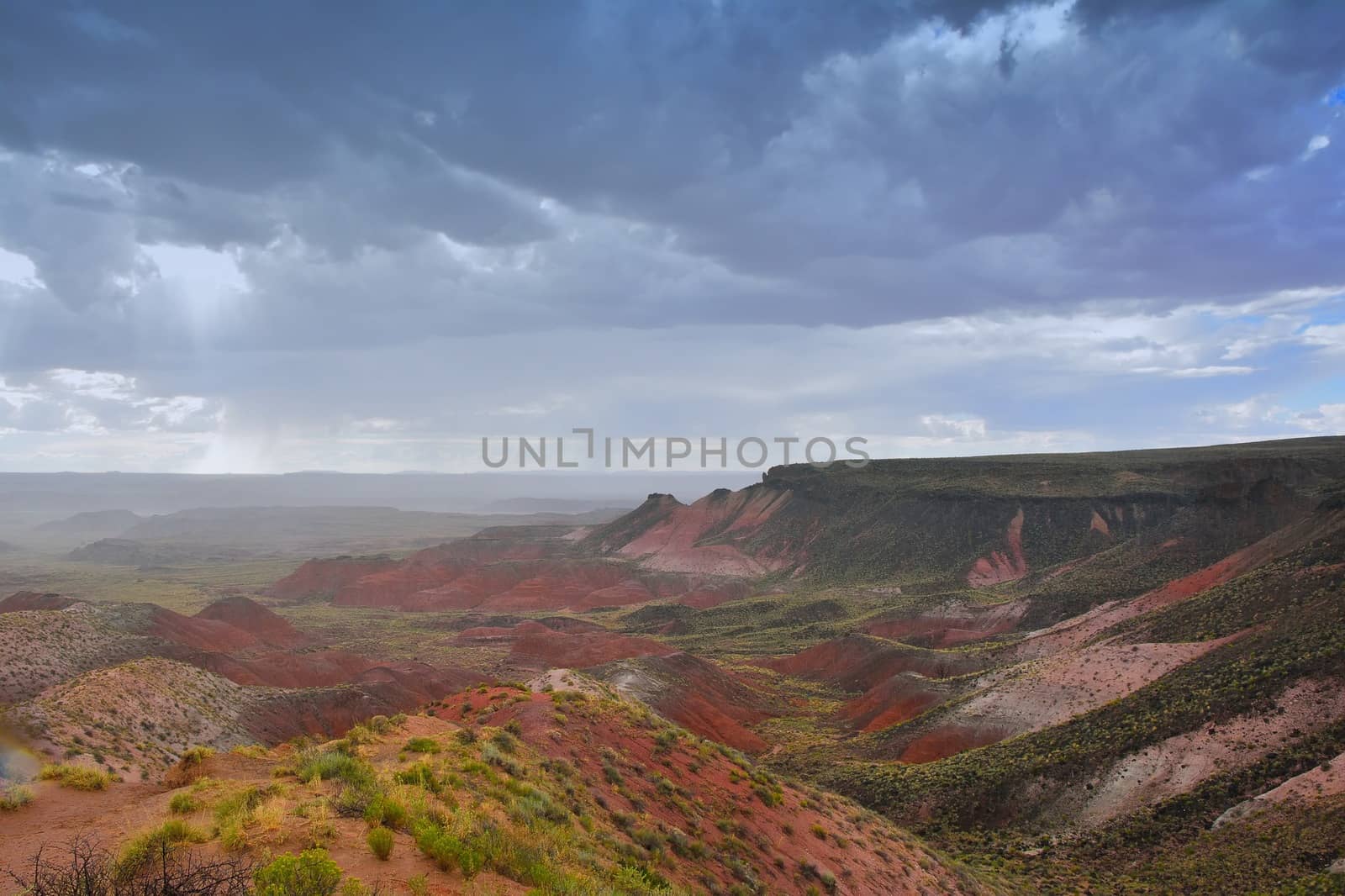 Petrified Forest National Park, USA. by CreativePhotoSpain