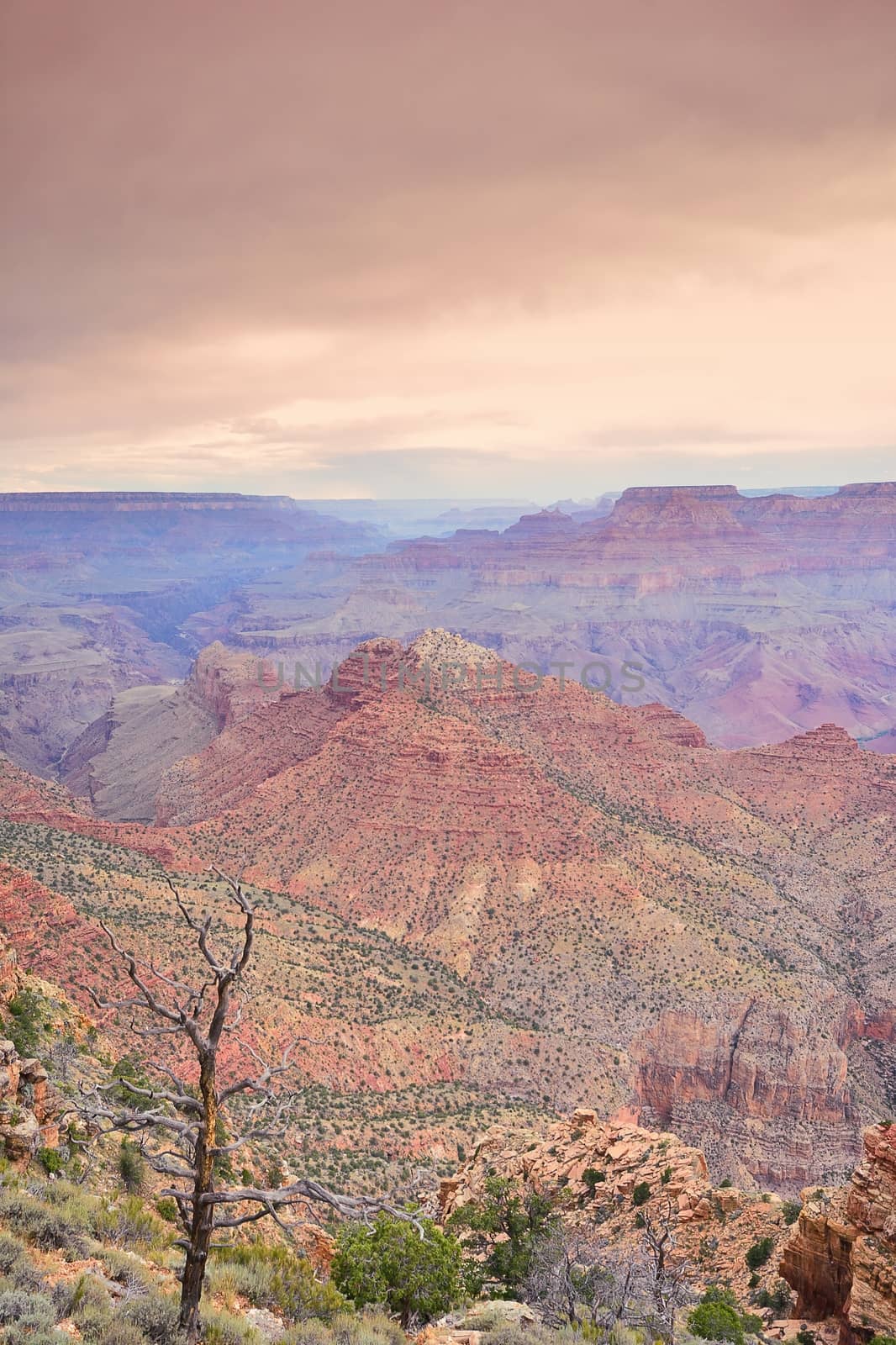 South Rim Grand Canyon before sunset, Arizona, US.