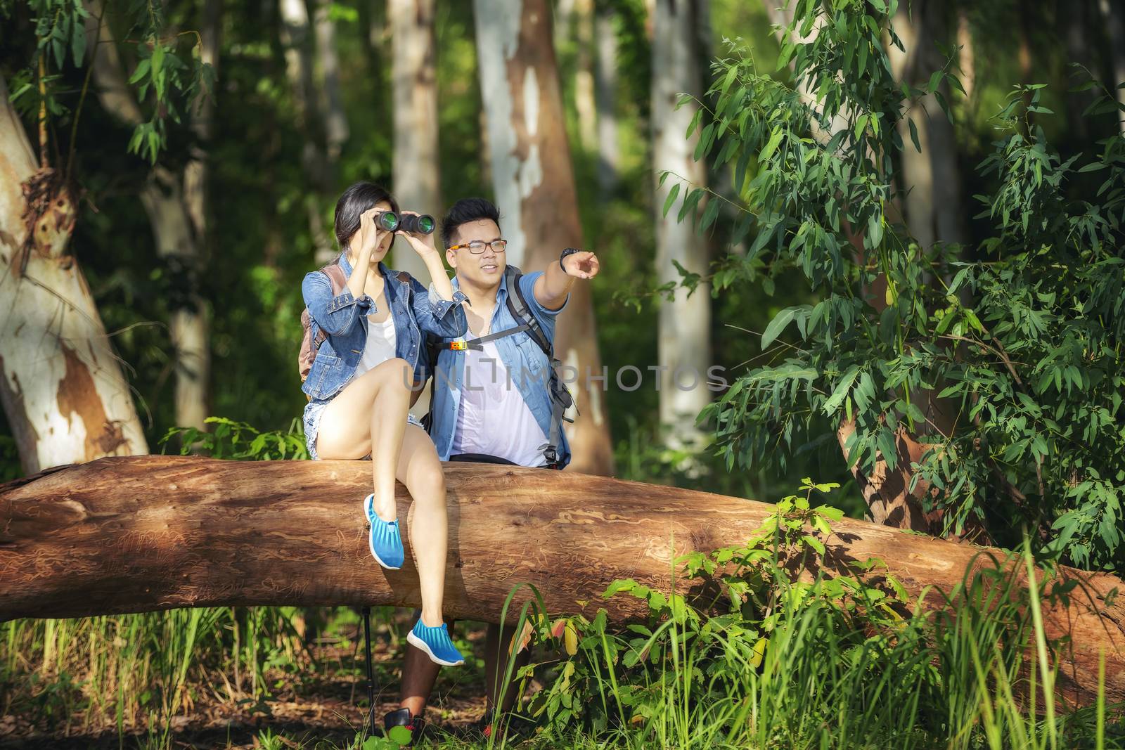Young people are looking through binoculars with concentration while in the forest. Hiking concept, Travel concept.