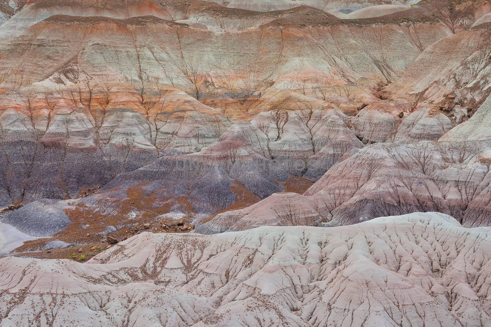 Nature Painted Desert, Petrified Forest National Park, Arizona, USA