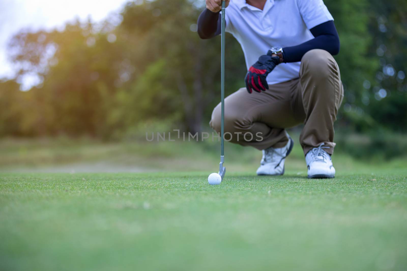 Golf player check line for putting golf ball on green grass. Golf player crouching and study the green before putting shot