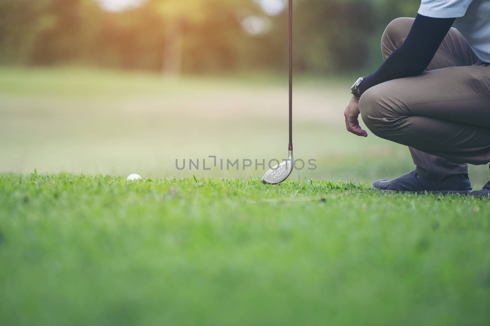 Golf player check line for putting golf ball on green grass. Golf player crouching and study the green before putting shot