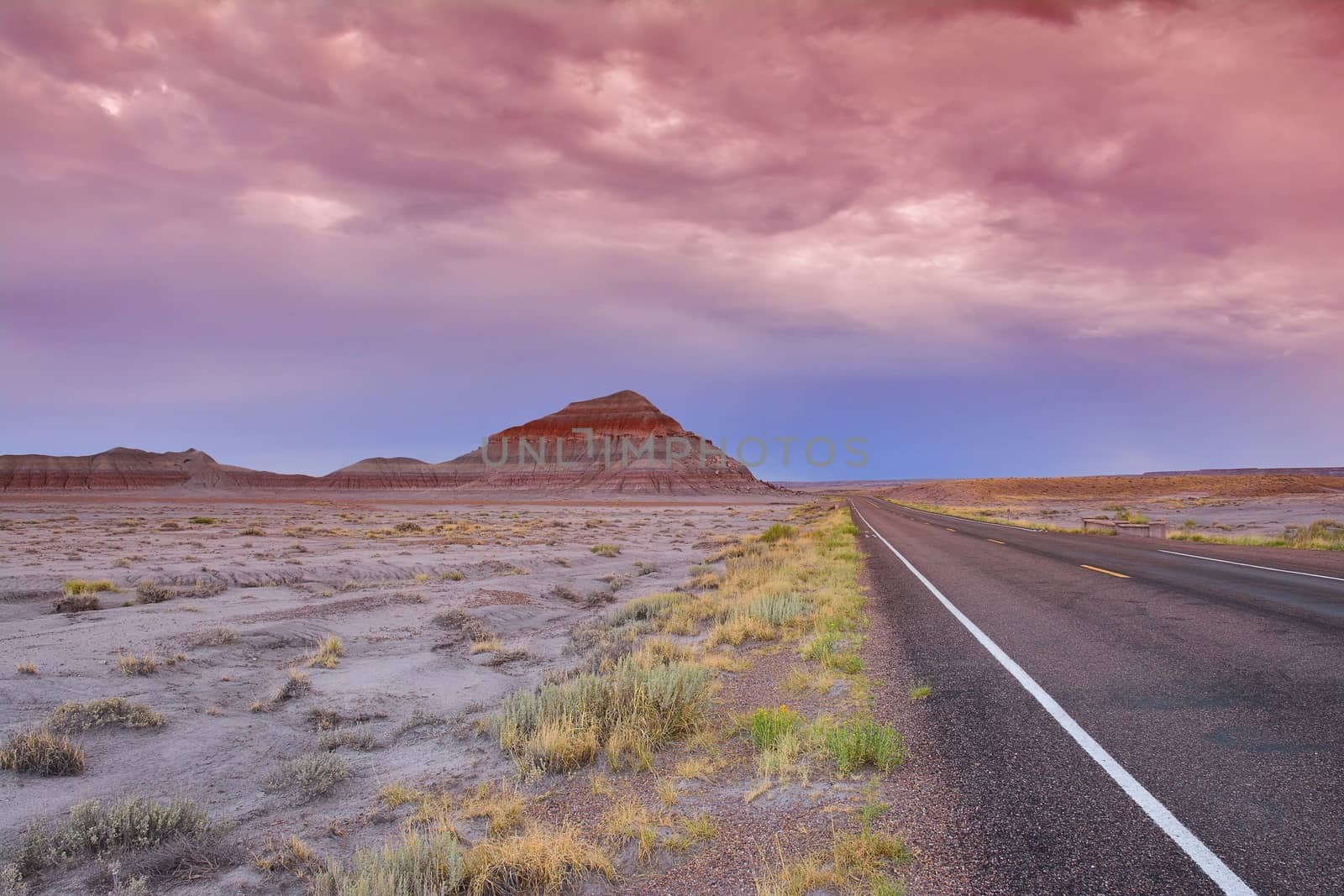 Petrified Forest National Park, USA. by CreativePhotoSpain