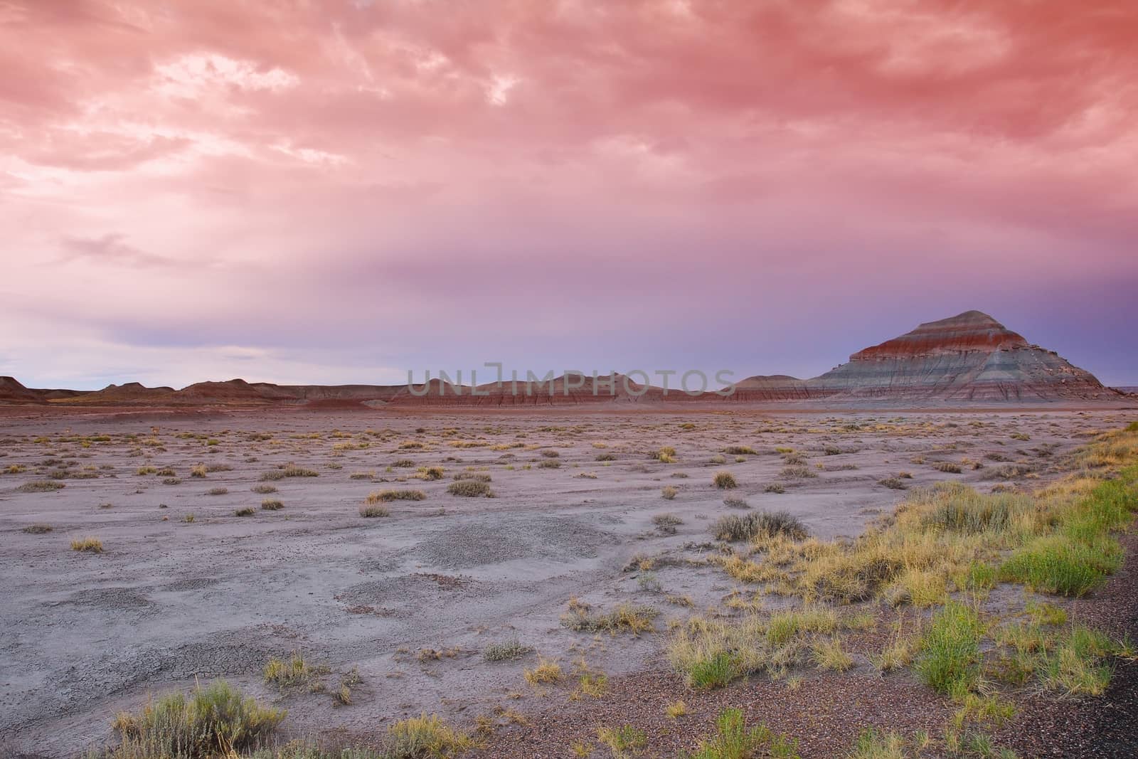 Nature Painted Desert, Petrified Forest National Park, Arizona, USA