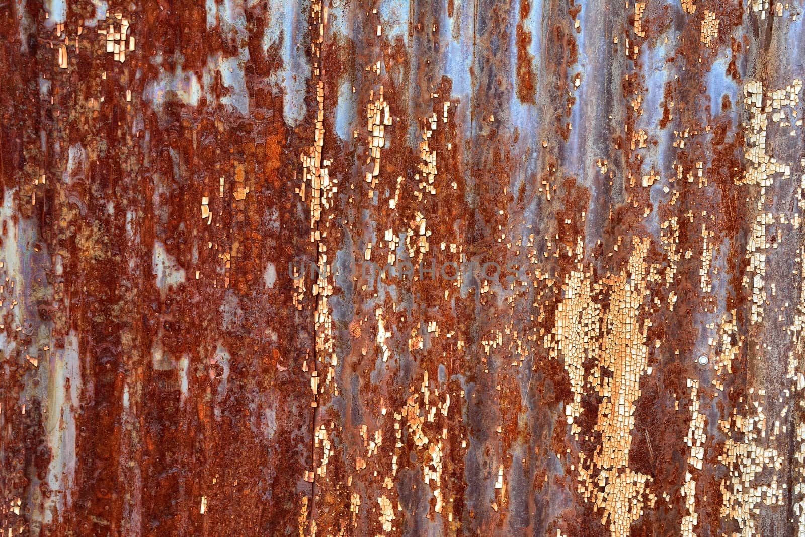 Close-up of rusty damaged metal sheet