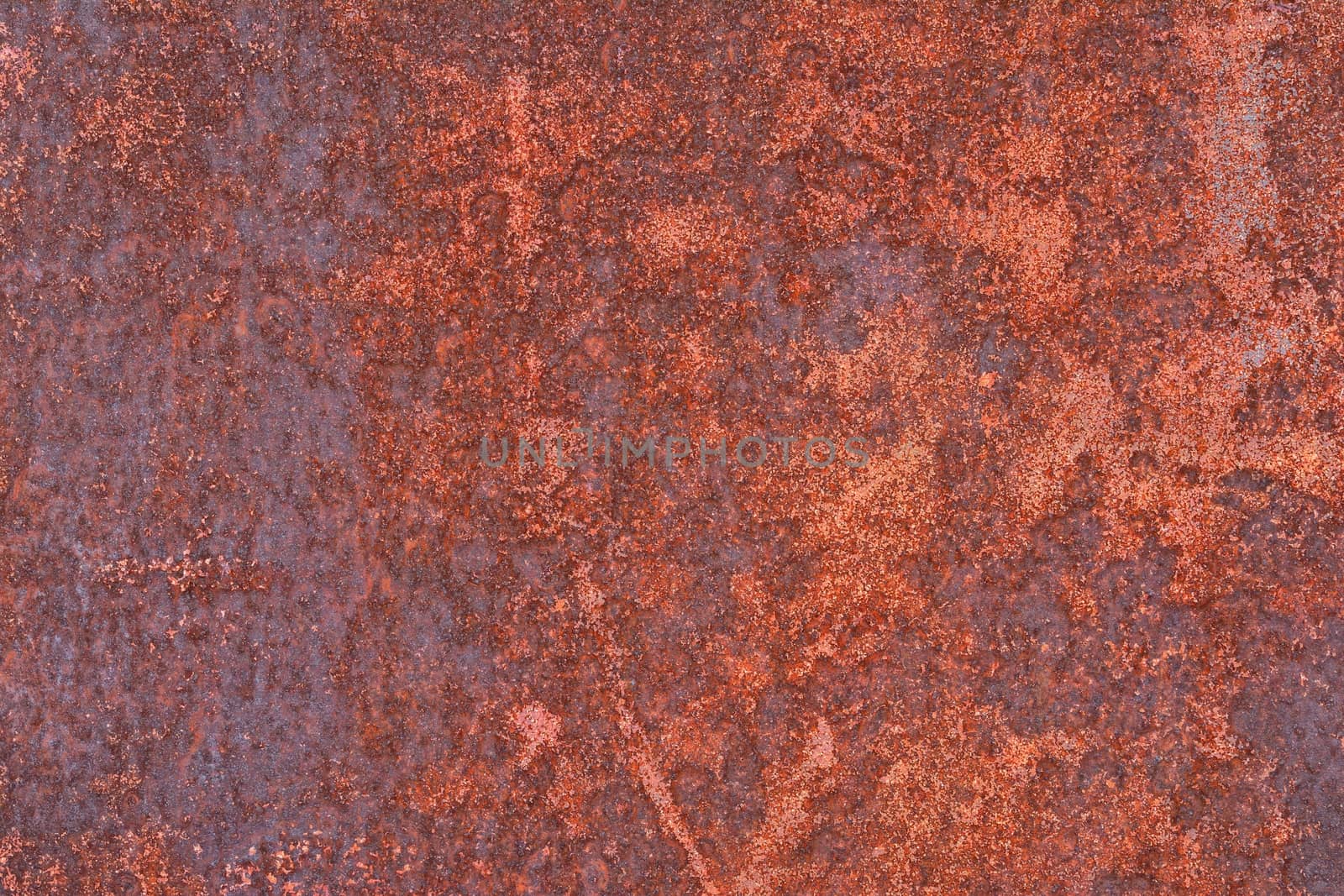 Close-up of rusty damaged metal sheet