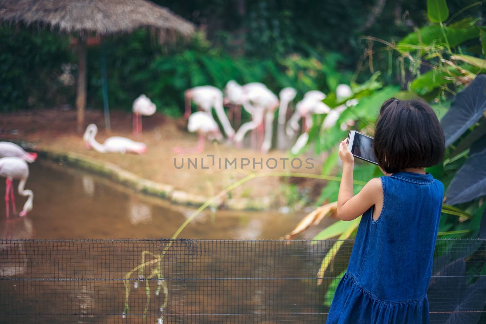 Asian kids girls are traveling and learning in the zoo with pleasure and fun.