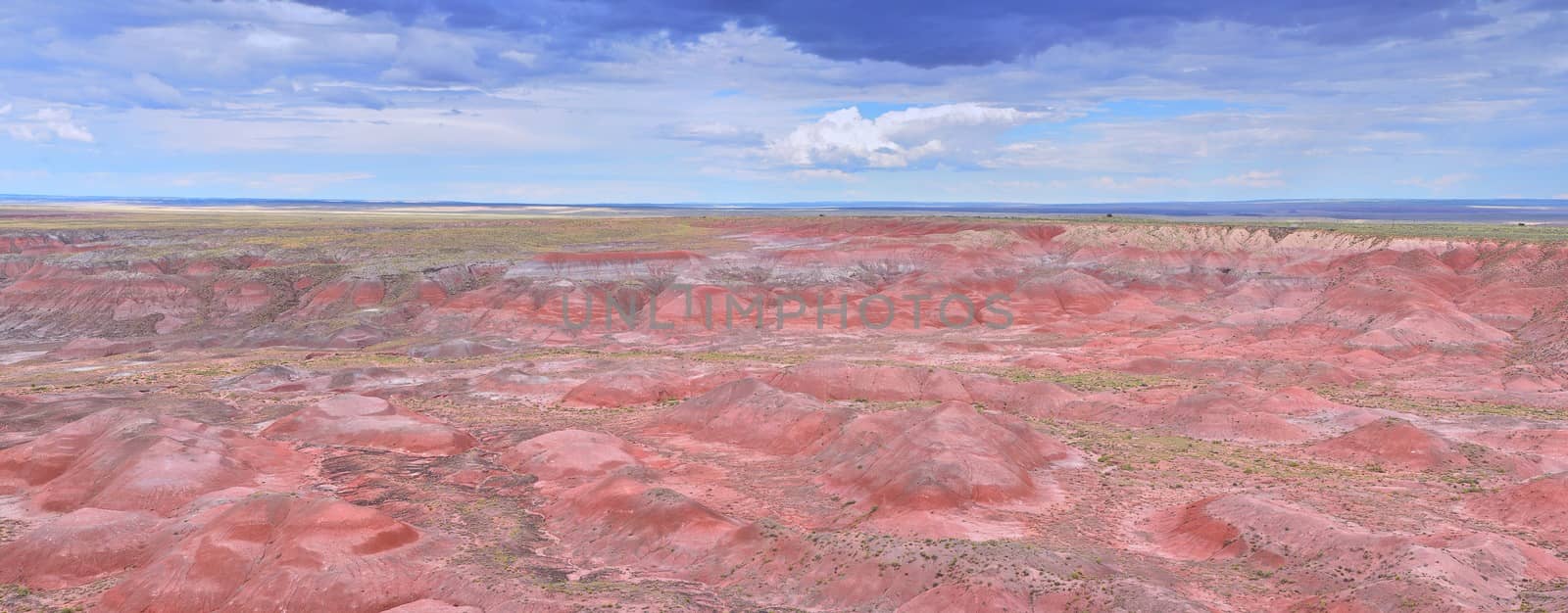 Nature Painted Desert, Petrified Forest National Park, Arizona, USA