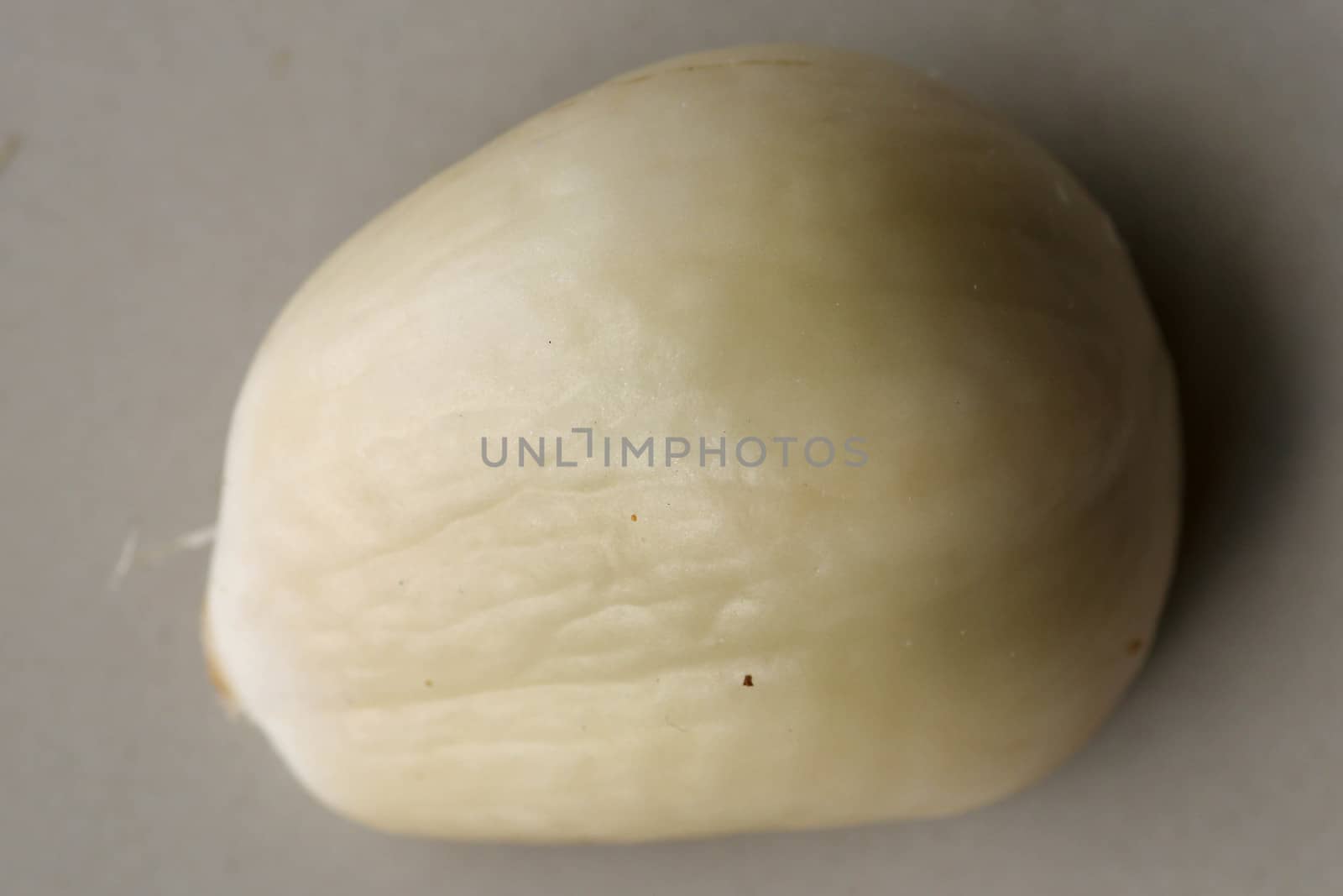 Close up of single piece of Snake fruit. Top view of single healthy fruit. Salak pondoh is one of the salak cultivars that mostly grows in area of Bali. Macro photo of Sweet Salacca zalacca.