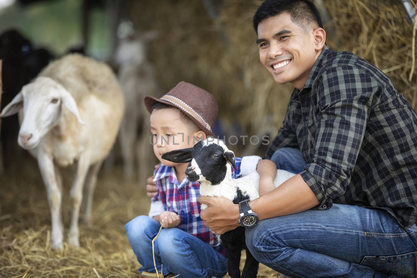 The father and son, the sheep farm owner, hug a small lamb in the embrace with love in their pet.