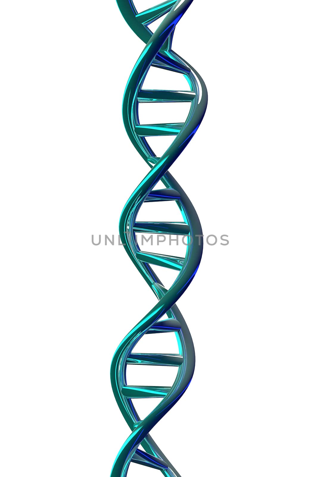 3D rendering of DNA helix isolated on white background.