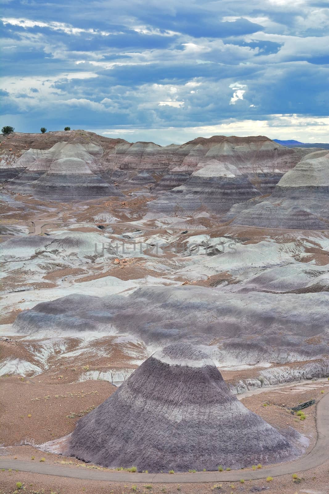 Nature Painted Desert, Petrified Forest National Park, Arizona, USA