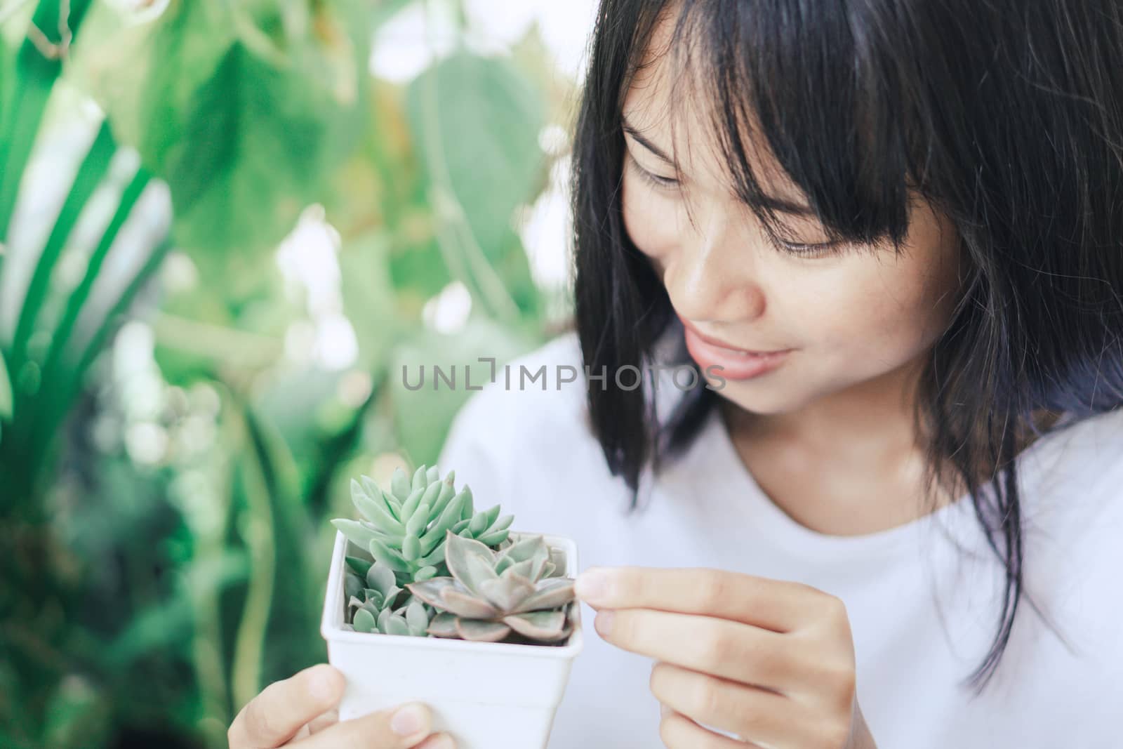 Woman hand holding succulent plant in pot for decoration with vintage tone, selective focus