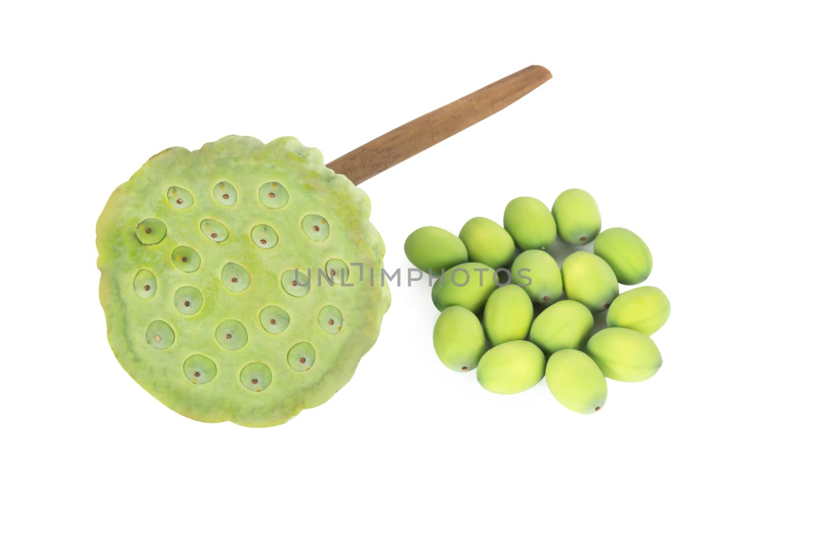 Closeup lotus seed green isolated on white background