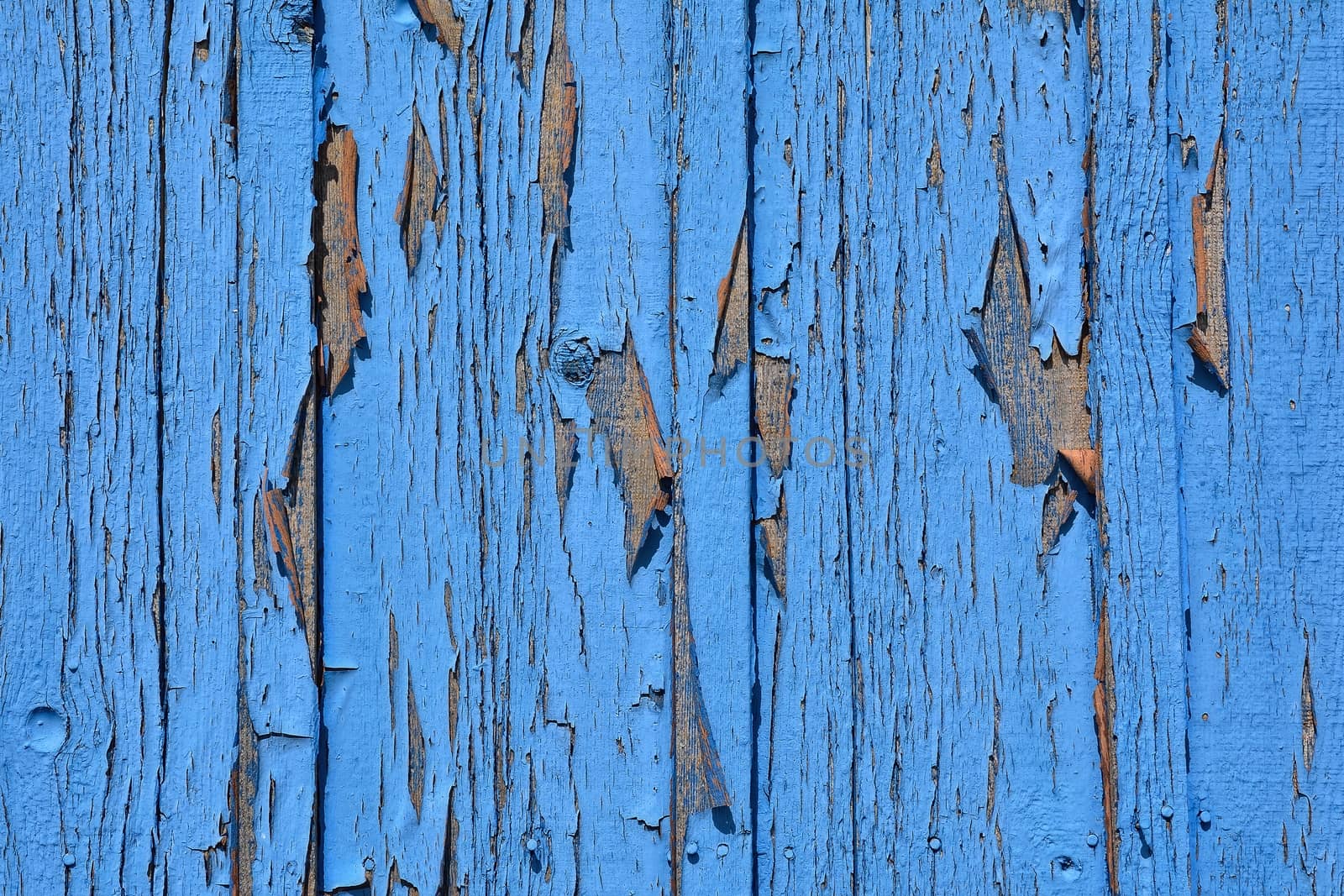 Blue background. Blue wood texture. Old wood texture.