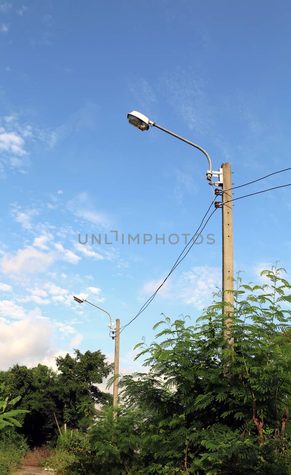 High voltage electricity poles in the forest, Electricity pylons in countryside, Old power poles in the forest, Electricity poles corridor, Poles, sidewalks power in the forest by cgdeaw