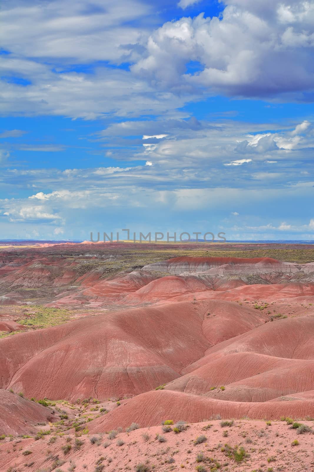 Petrified Forest National Park, USA. by CreativePhotoSpain