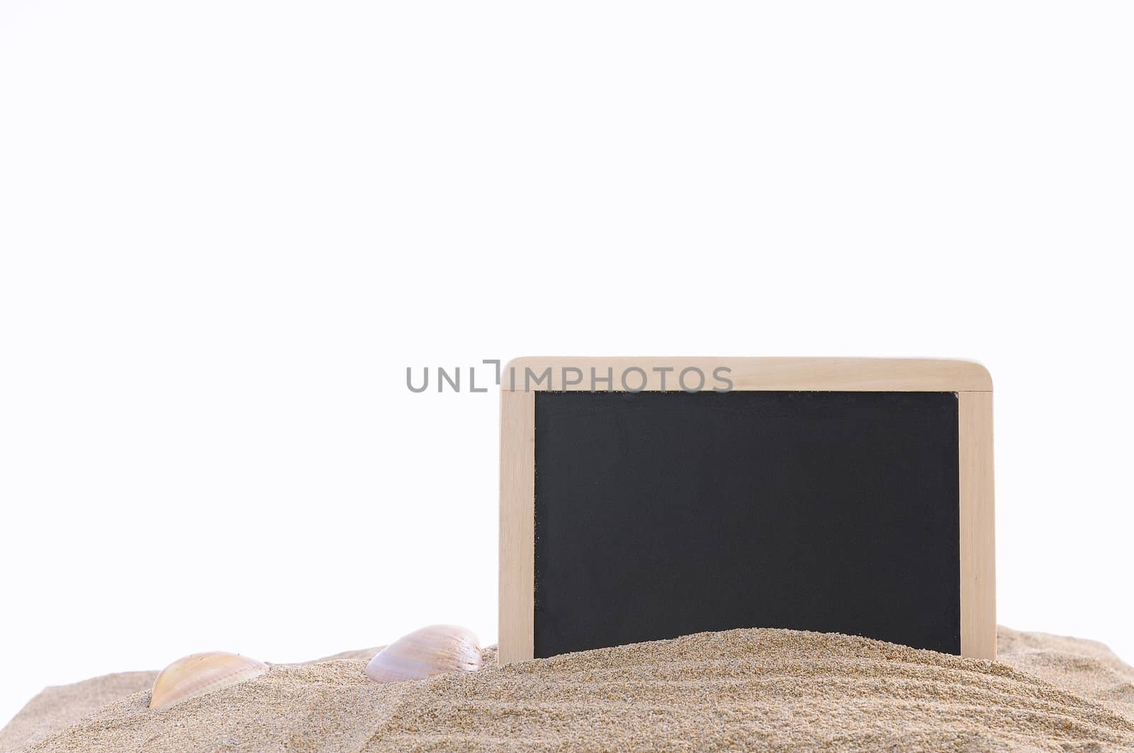 Isolated framed black board and seashells in sand against of white background