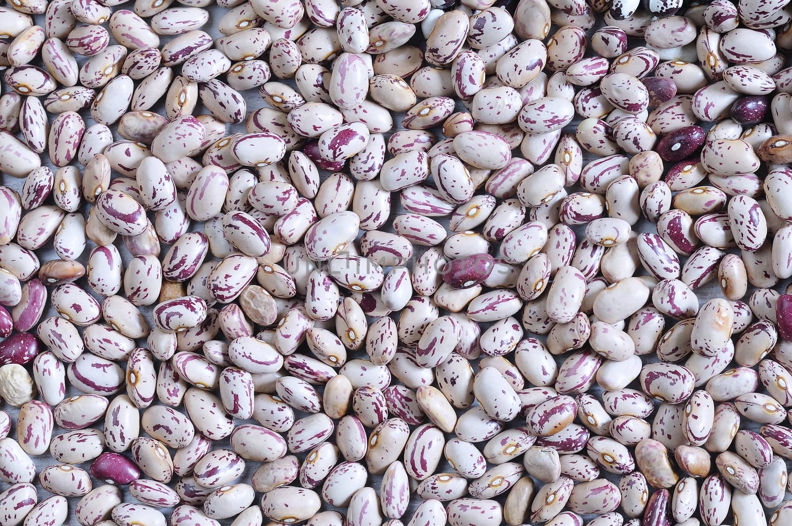 Close-up of kidney beans. From above