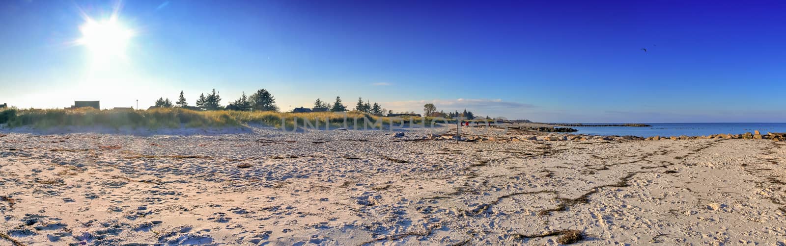 Beautiful view on sandy beaches at the baltic sea on a sunny day in northern Europe