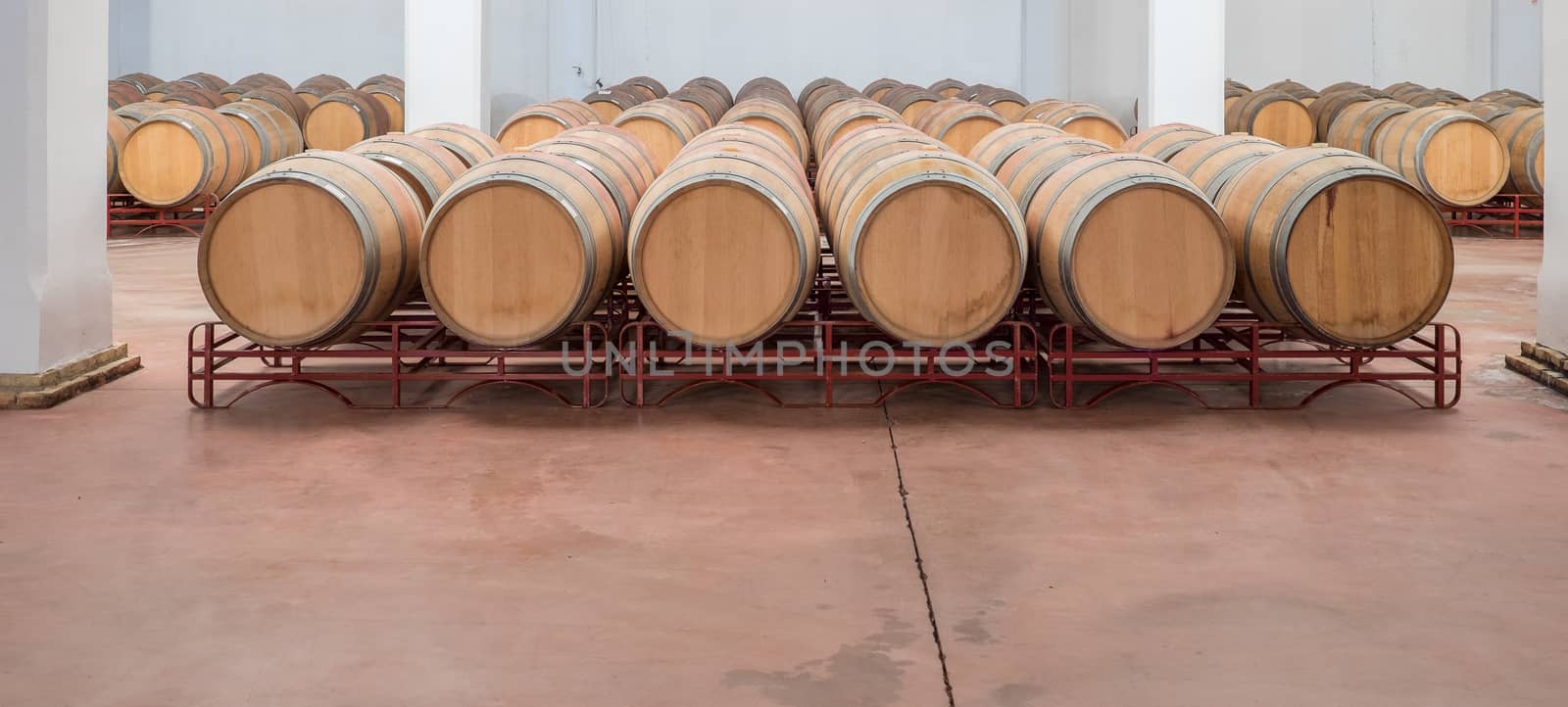 American Oak Barrels aging on a modern Winery