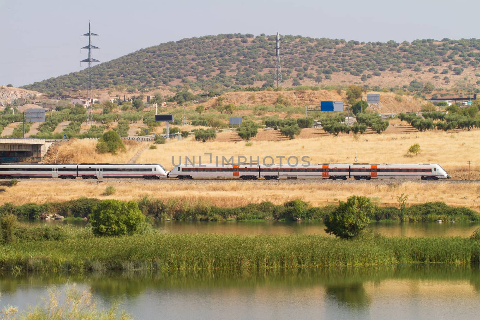 Automotive train of travelers, with diesel traction by EduardoMT