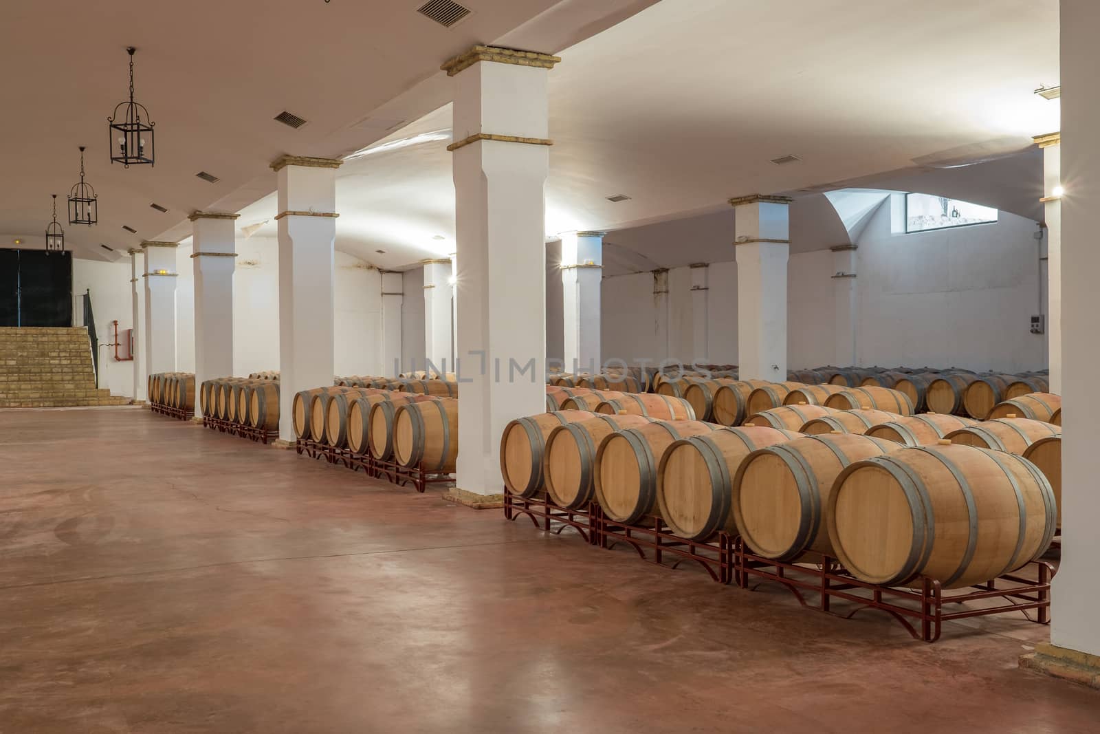 American Oak Barrels aging on a modern Winery